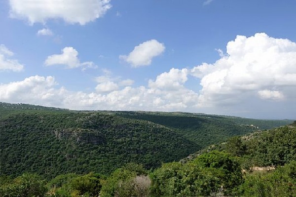 הרוח הגלילית